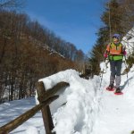 Discesa alla pista di fondo 